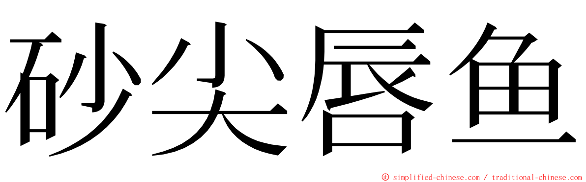 砂尖唇鱼 ming font