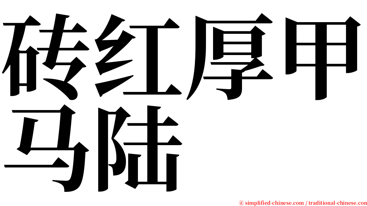 砖红厚甲马陆 serif font