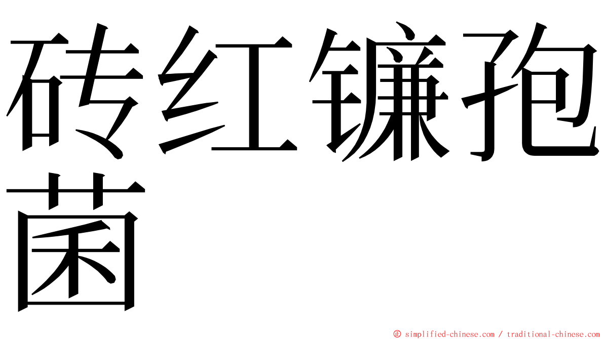 砖红镰孢菌 ming font