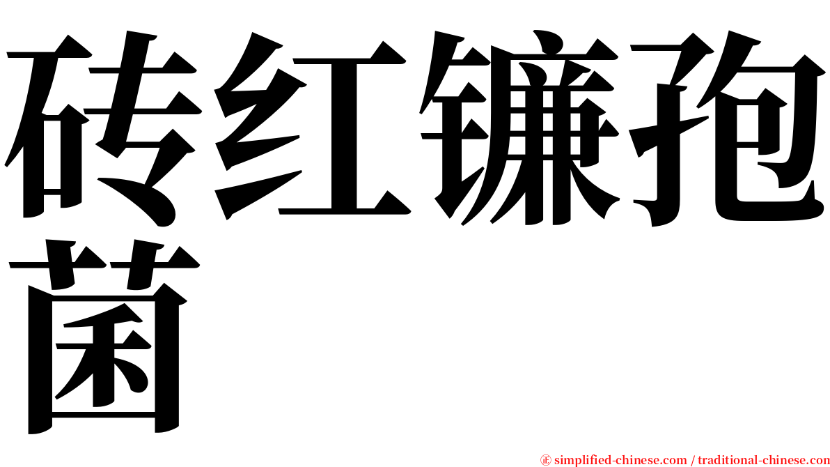 砖红镰孢菌 serif font