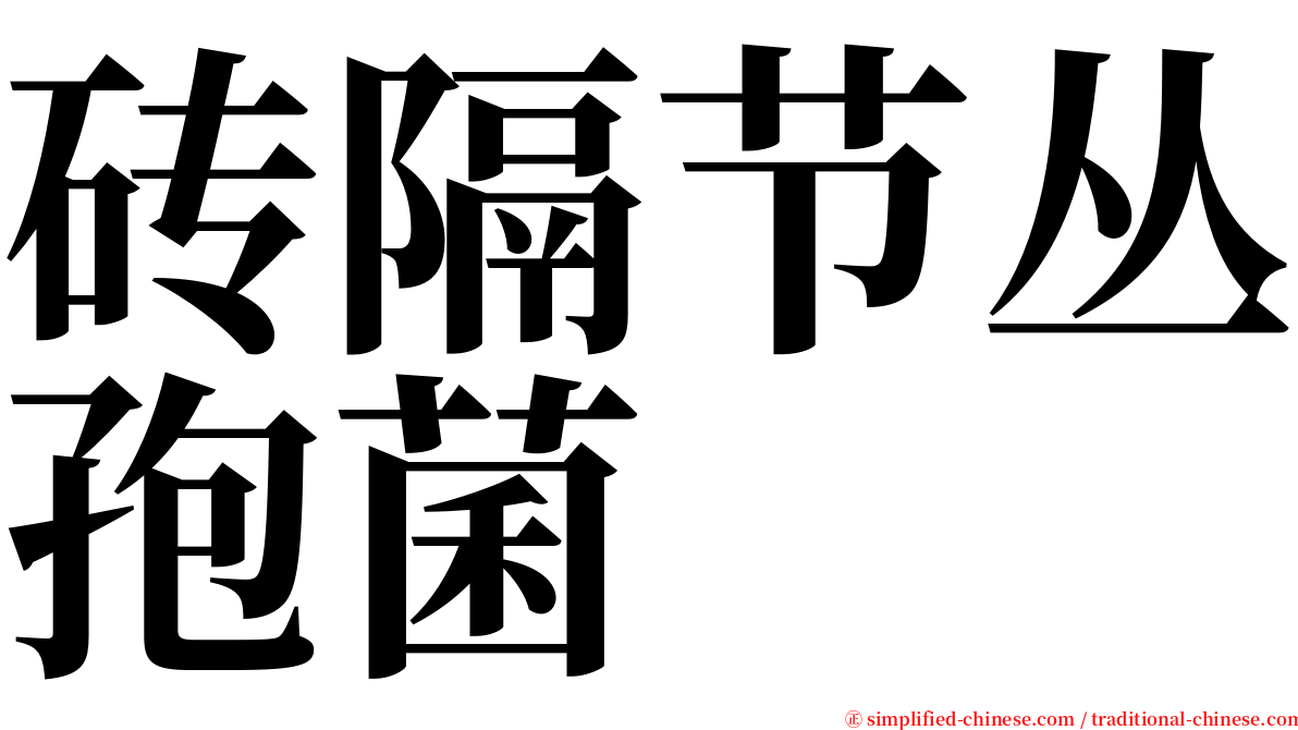 砖隔节丛孢菌 serif font