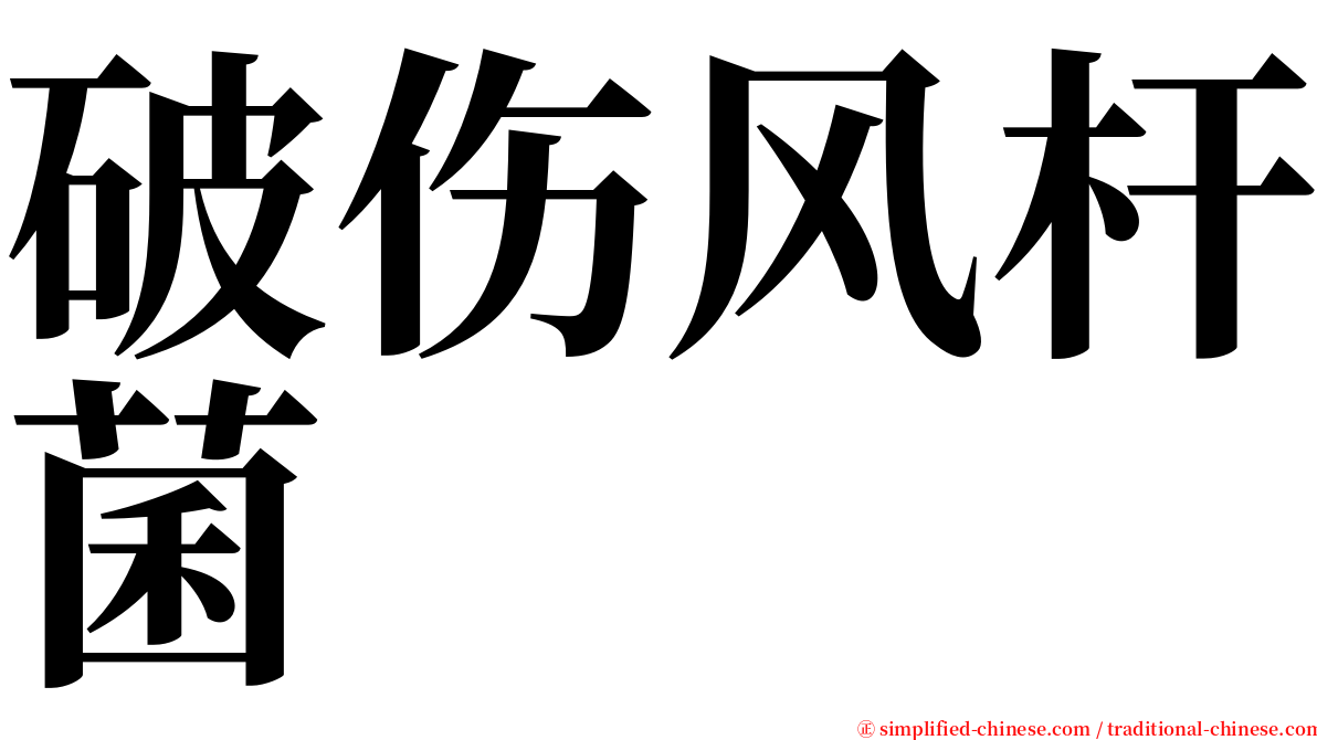 破伤风杆菌 serif font