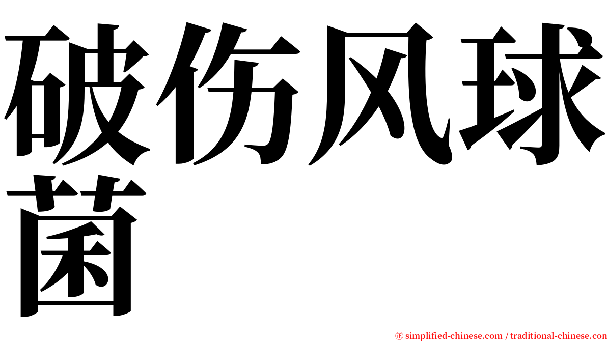 破伤风球菌 serif font