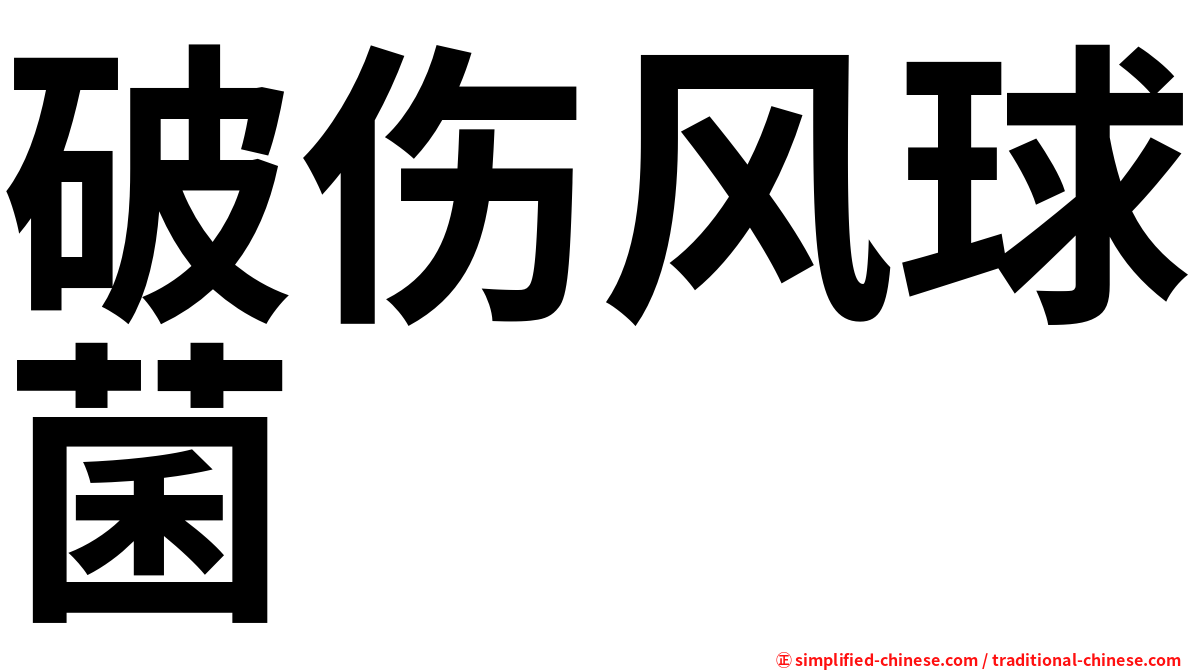 破伤风球菌