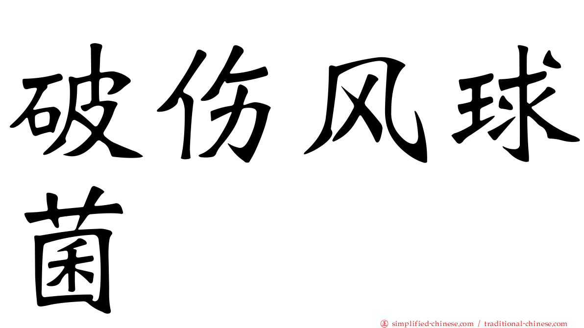 破伤风球菌