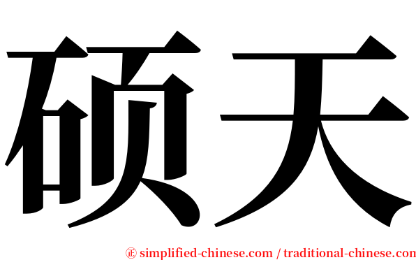 硕天 serif font