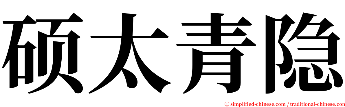 硕太青隐 serif font