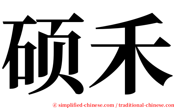 硕禾 serif font