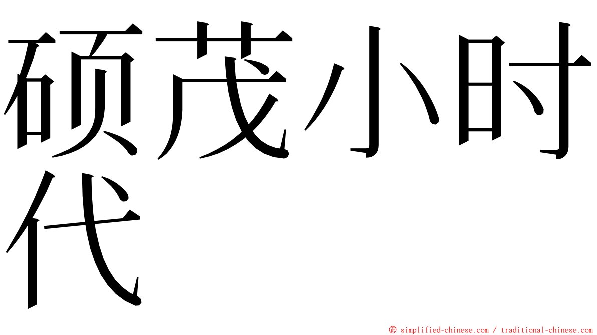 硕茂小时代 ming font