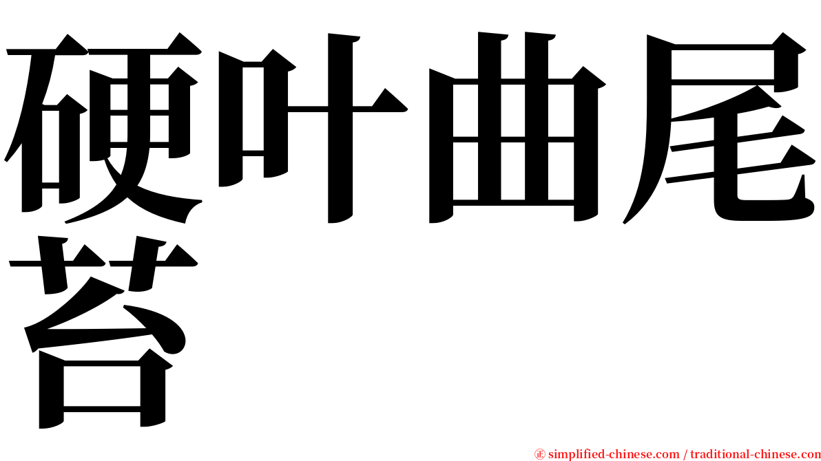 硬叶曲尾苔 serif font