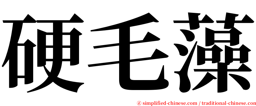 硬毛藻 serif font