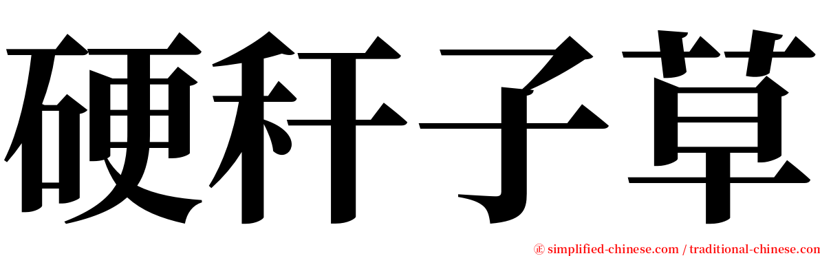 硬秆子草 serif font