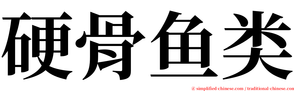 硬骨鱼类 serif font