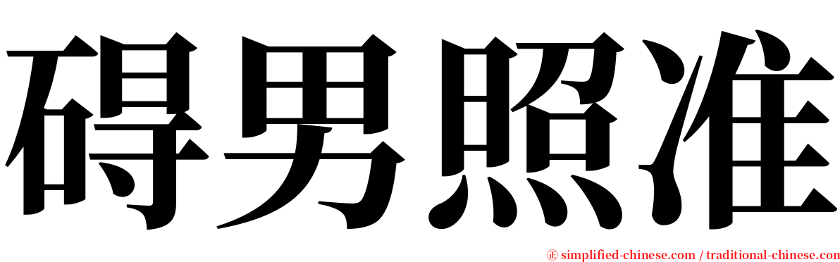 碍男照准 serif font