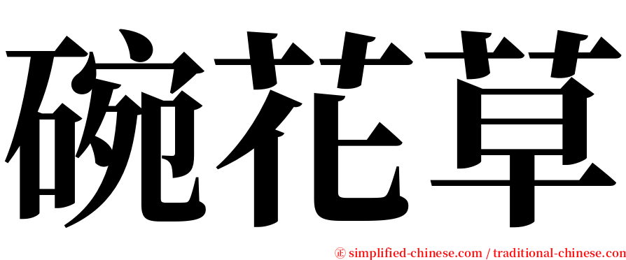 碗花草 serif font