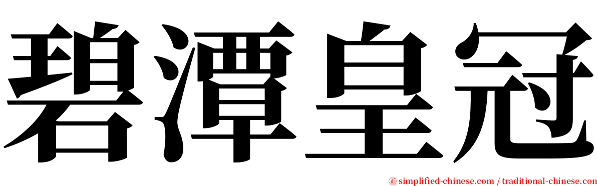碧潭皇冠 serif font