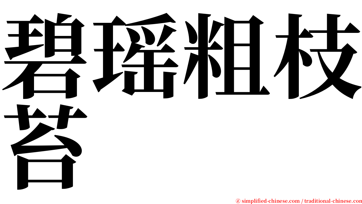 碧瑶粗枝苔 serif font