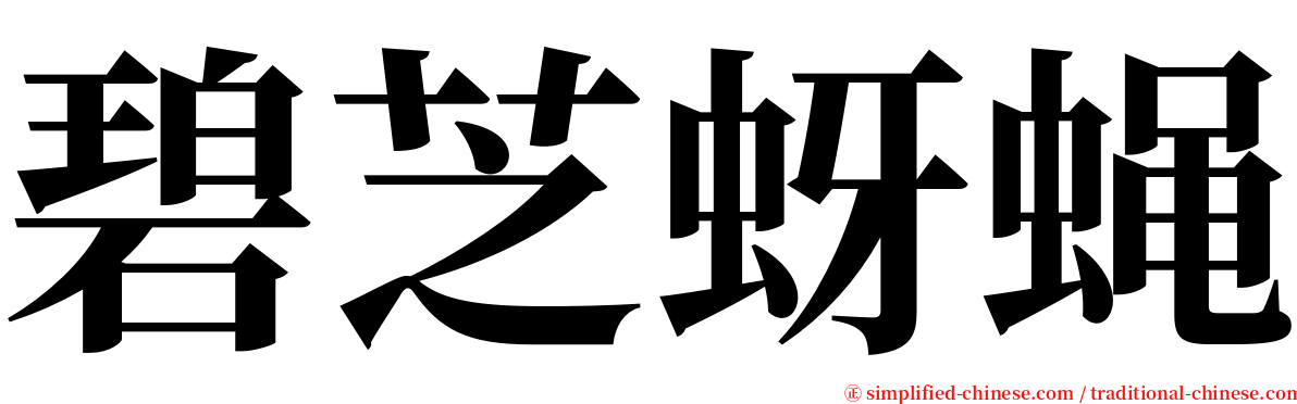 碧芝蚜蝇 serif font