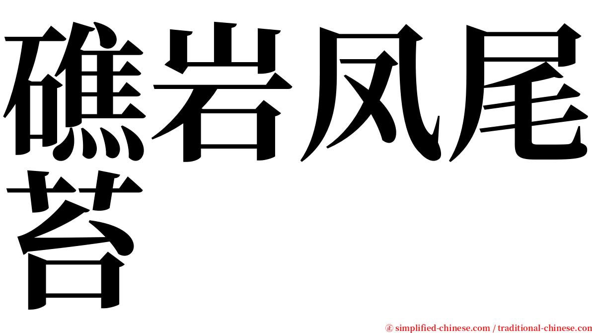 礁岩凤尾苔 serif font