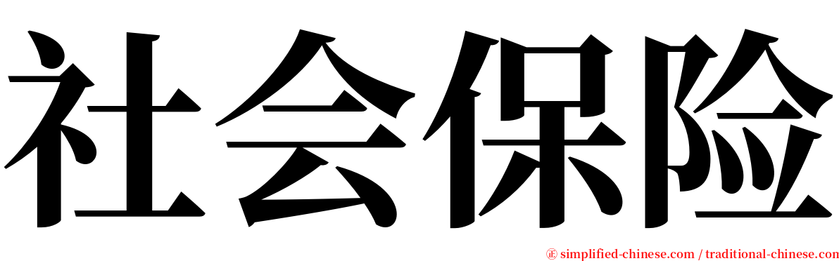 社会保险 serif font