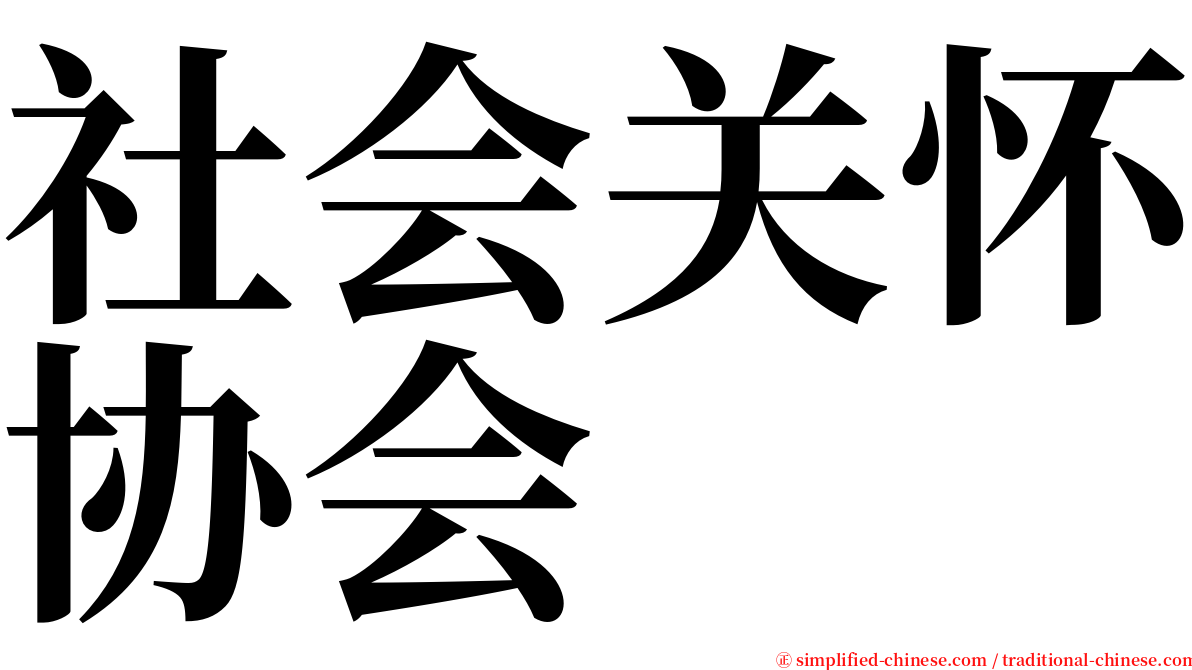 社会关怀协会 serif font