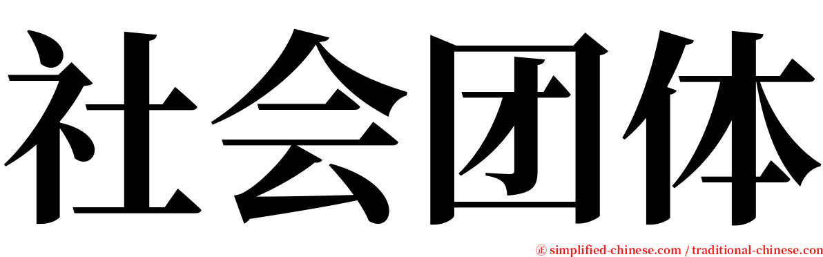 社会团体 serif font