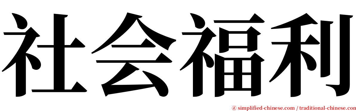 社会福利 serif font