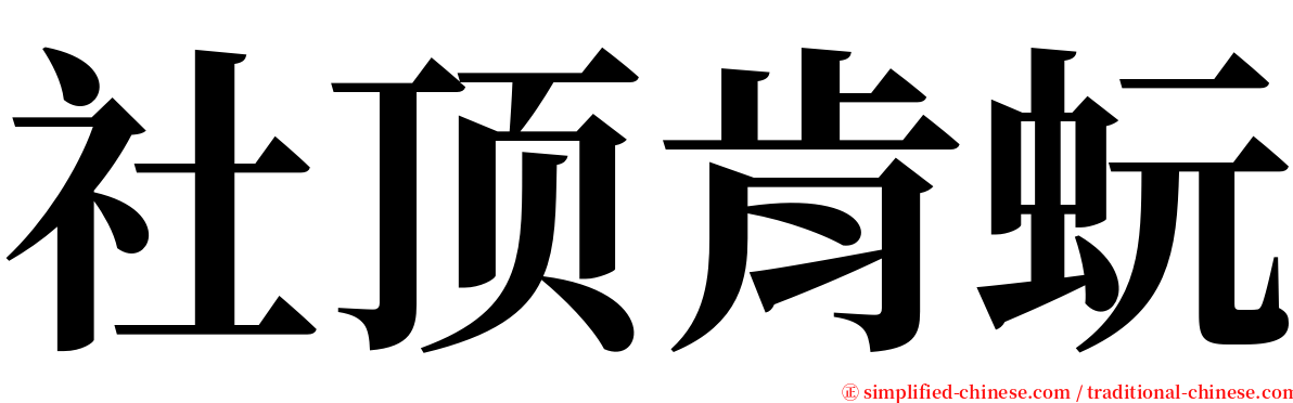 社顶肯蚖 serif font