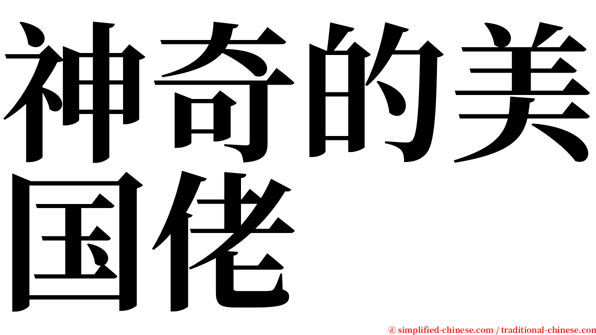 神奇的美国佬 serif font