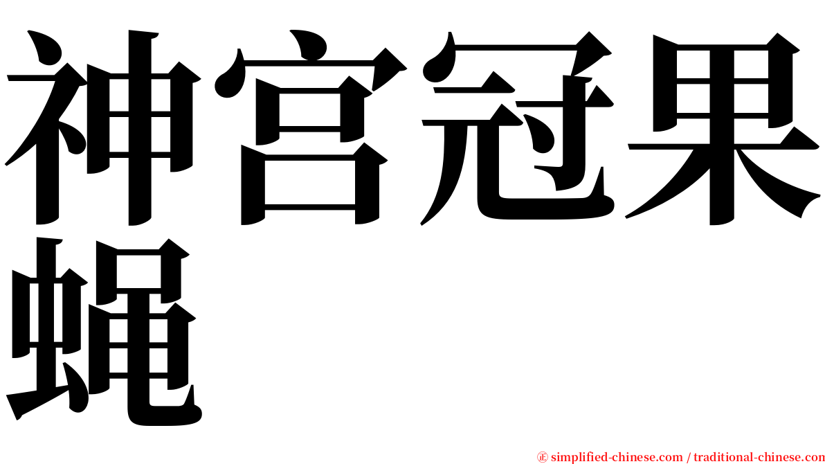 神宫冠果蝇 serif font