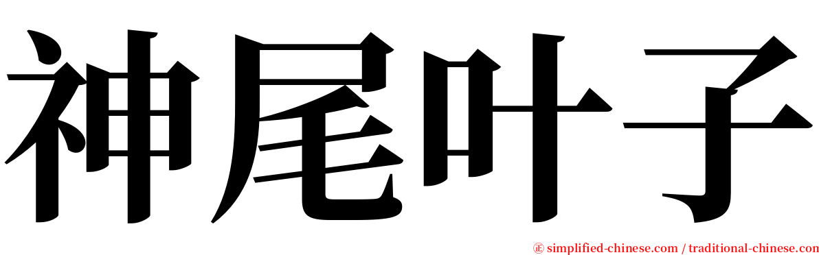 神尾叶子 serif font