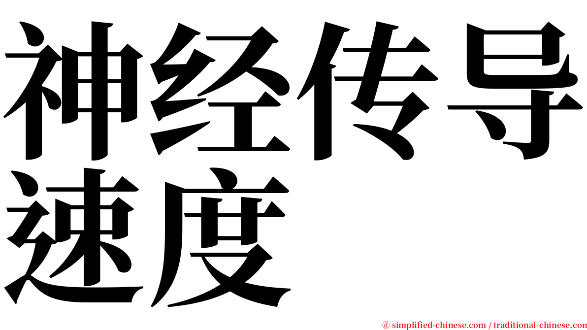 神经传导速度 serif font