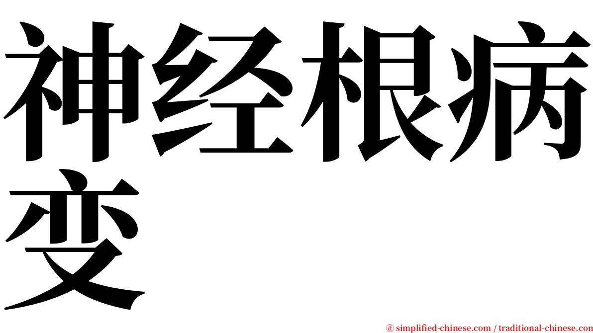 神经根病变 serif font