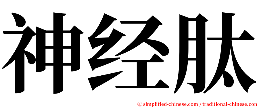 神经肽 serif font