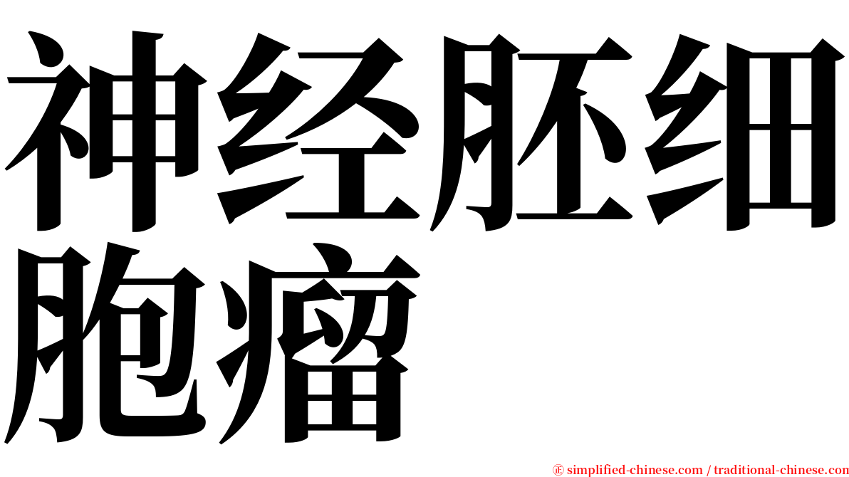 神经胚细胞瘤 serif font