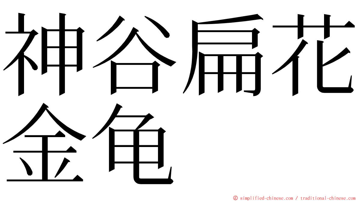 神谷扁花金龟 ming font