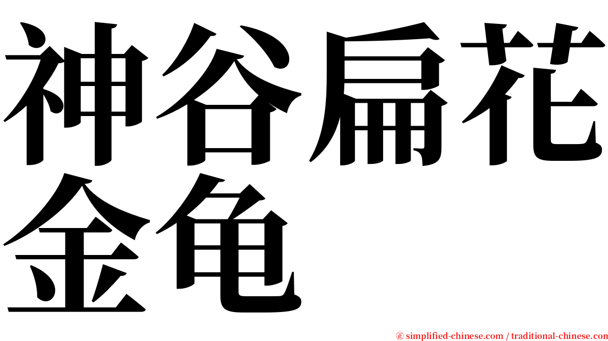 神谷扁花金龟 serif font