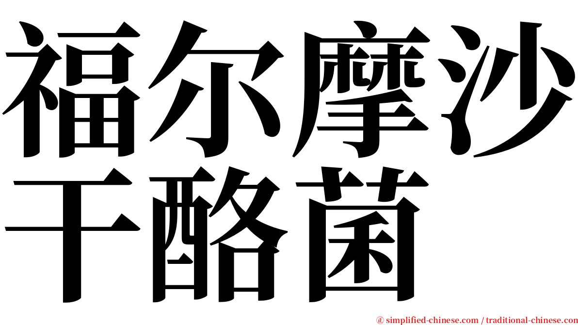 福尔摩沙干酪菌 serif font