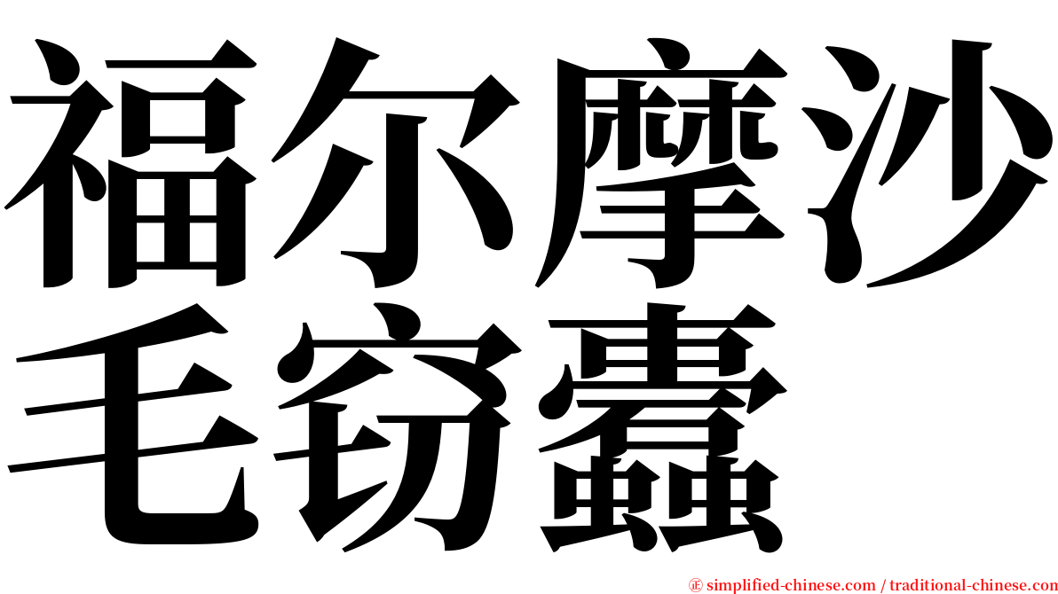 福尔摩沙毛窃蠹 serif font