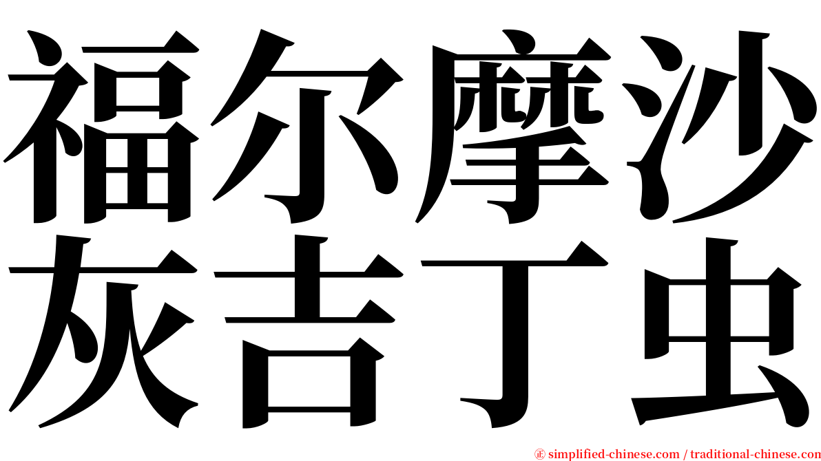 福尔摩沙灰吉丁虫 serif font