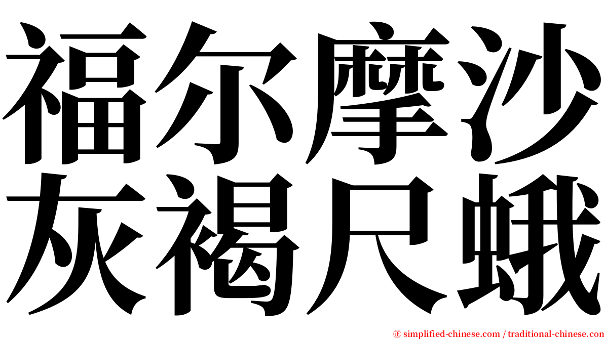 福尔摩沙灰褐尺蛾 serif font