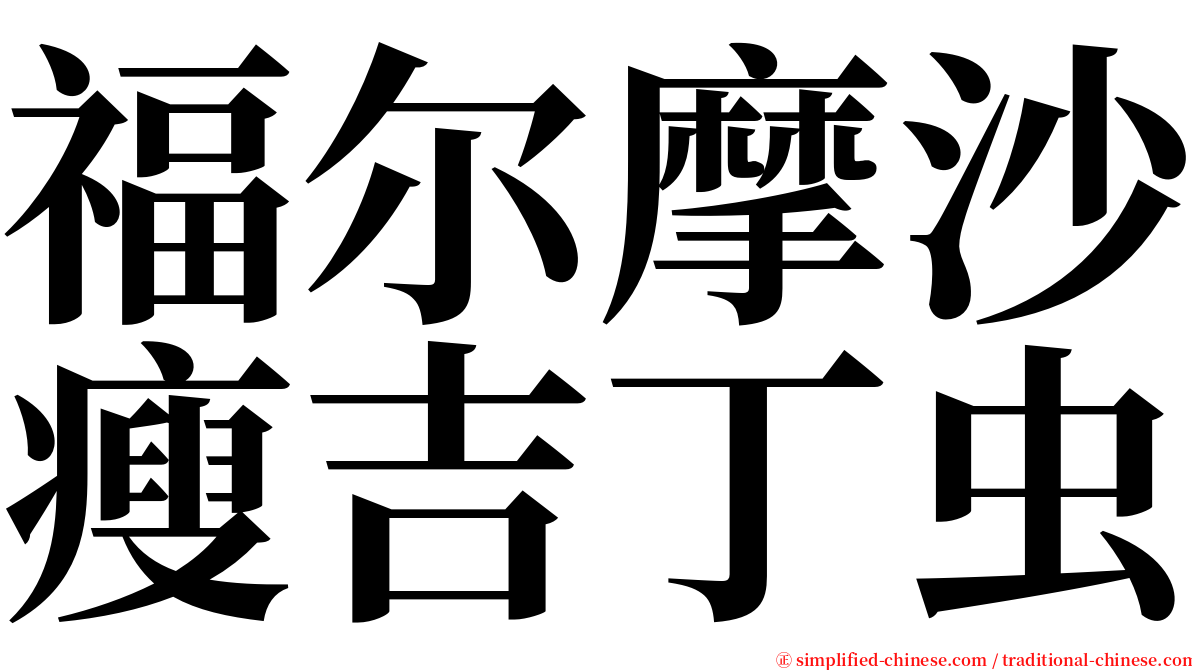 福尔摩沙瘦吉丁虫 serif font