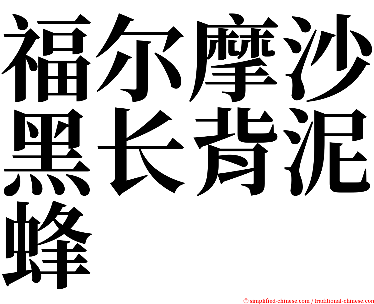 福尔摩沙黑长背泥蜂 serif font