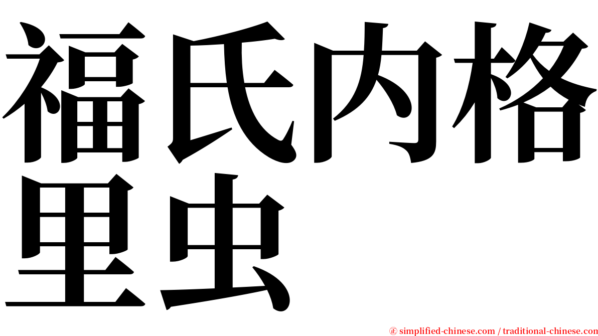 福氏内格里虫 serif font