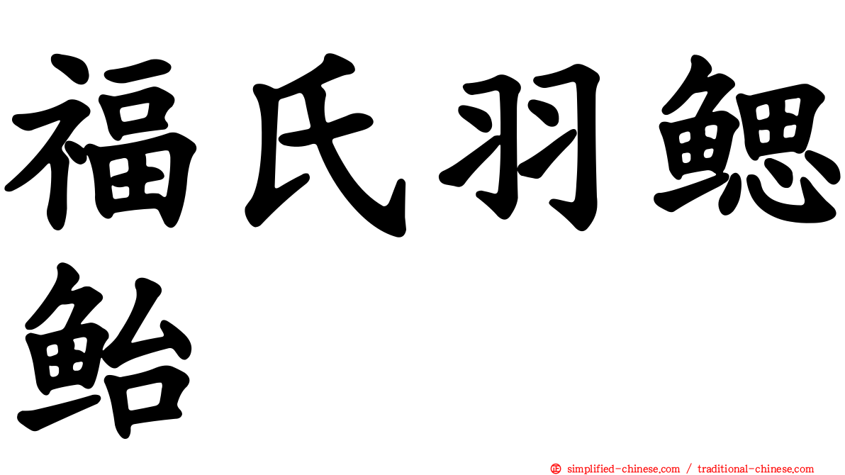 福氏羽鳃鲐