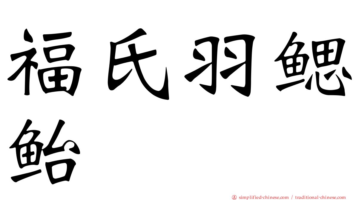 福氏羽鳃鲐