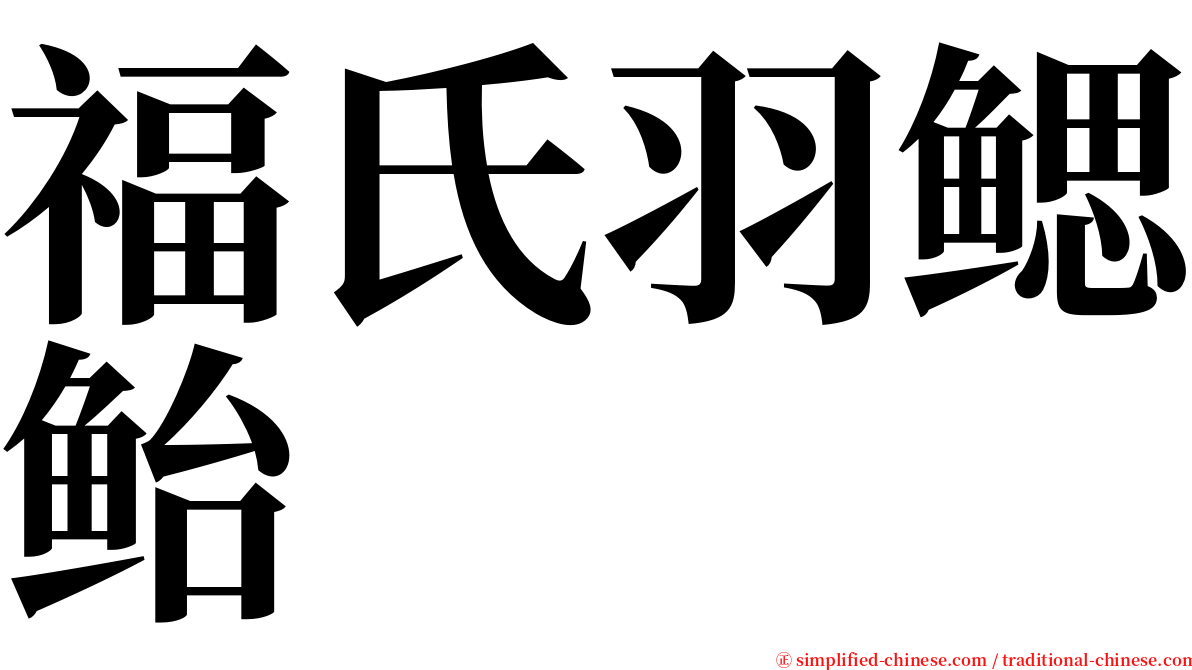 福氏羽鳃鲐 serif font