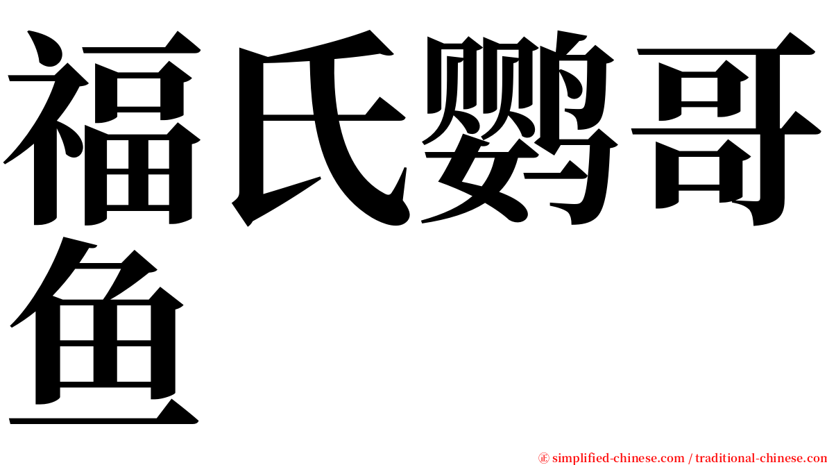 福氏鹦哥鱼 serif font