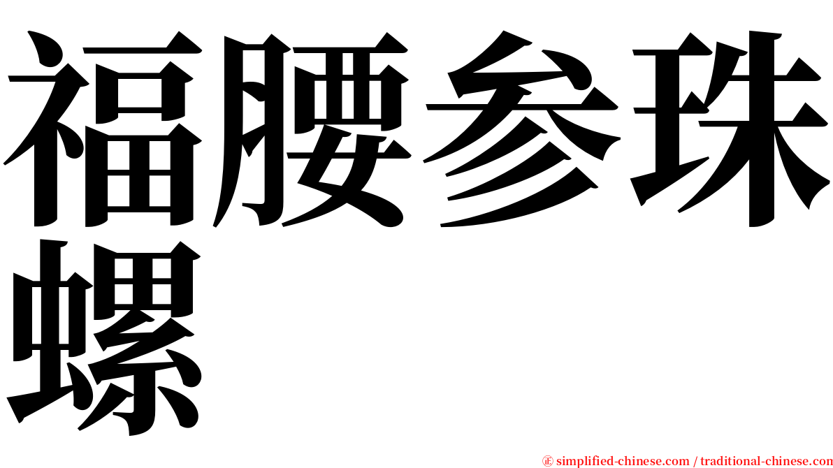 福腰参珠螺 serif font