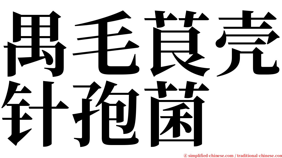 禺毛茛壳针孢菌 serif font